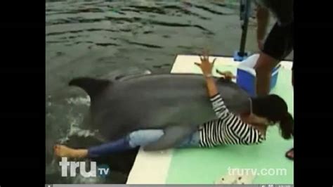 dolphin humping girl|PEOPLE GET HUMPED BY DOLPHINS 